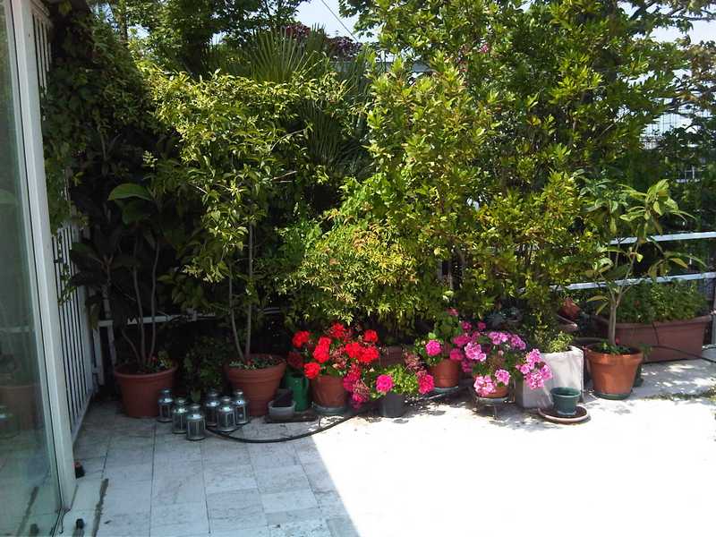 LOCATION PER SHOOTING